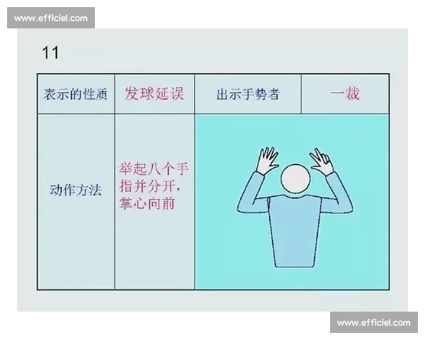 2017年气排球比赛规则全面解析与最新变化解读